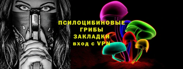 прущие грибы Заволжск