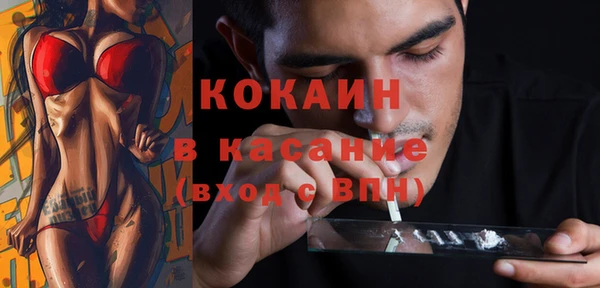 индика Белокуриха