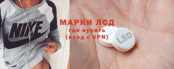 индика Белокуриха
