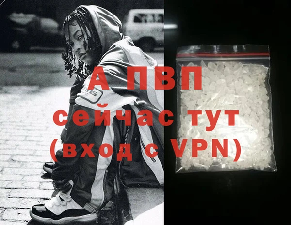 индика Белокуриха