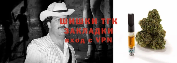 индика Белокуриха