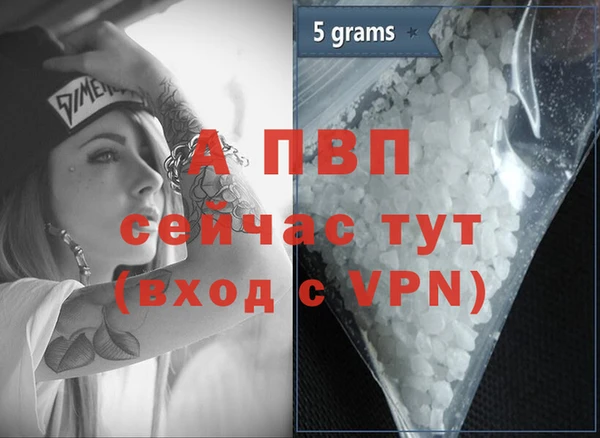 индика Белокуриха