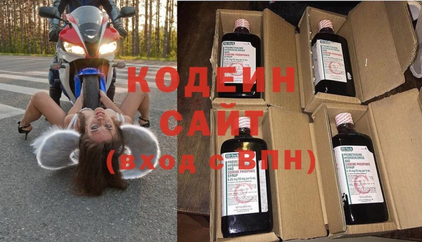 индика Белокуриха